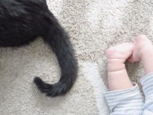 赤ちゃんの足と猫