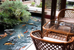 銘石の宿かげつの一階客室から見える鯉の泳ぐ池